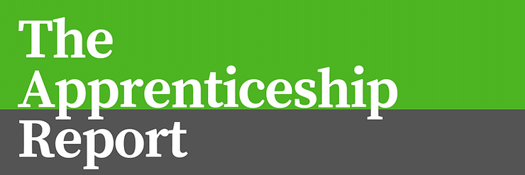 A half green and gray image that says "The Apprenticeship Report."
