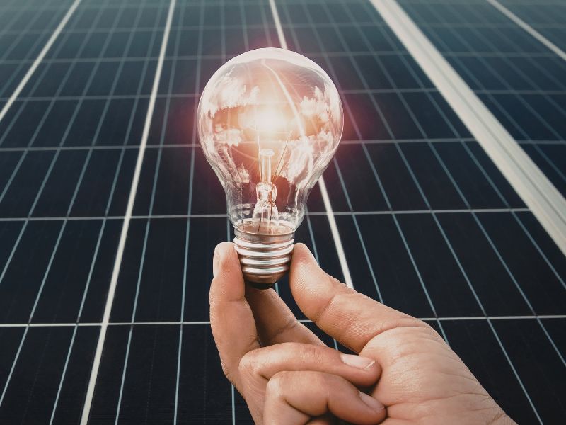 Essential Roles Companies Need to Innovate