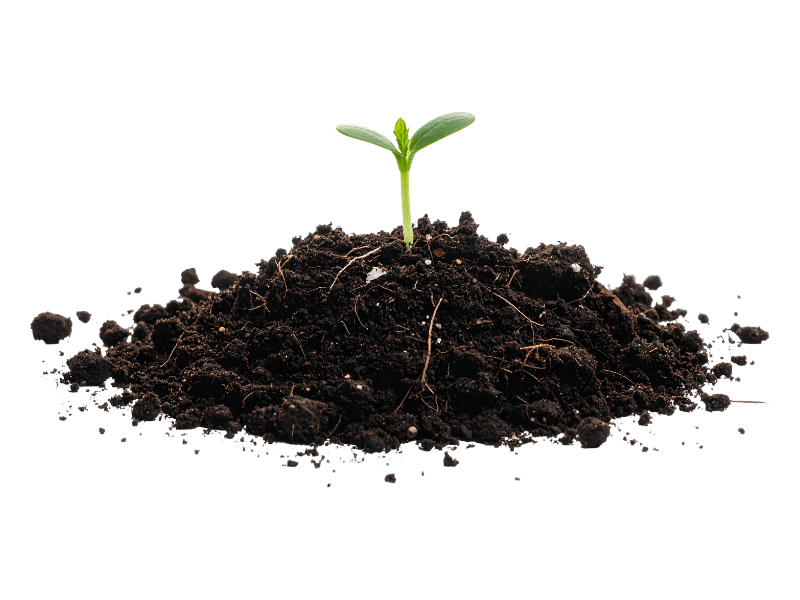 Let Go of Rigid Efficiency and Build a Culture That Evolves